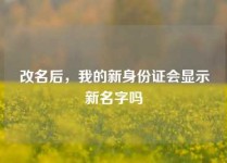 改名后，我的新身份证会显示新名字吗