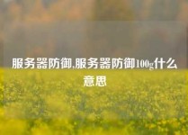 服务器防御,服务器防御100g什么意思