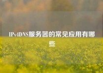 IPv4DNS服务器的常见应用有哪些