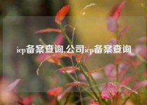 icp备案查询,公司icp备案查询