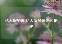 私人服务器,私人服务器怎么搭建