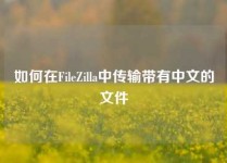 如何在FileZilla中传输带有中文的文件