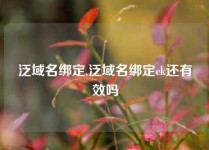 泛域名绑定,泛域名绑定ck还有效吗