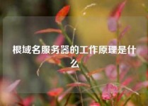 根域名服务器的工作原理是什么