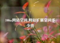 100m网站空间,网站扩展空间多少钱