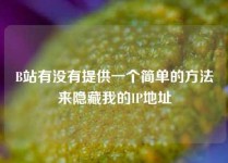 B站有没有提供一个简单的方法来隐藏我的IP地址