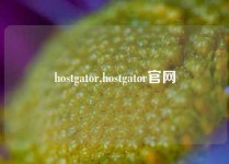 hostgator,hostgator官网
