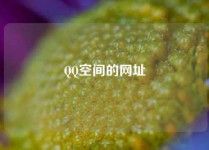 QQ空间的网址