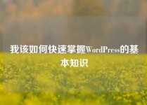 我该如何快速掌握WordPress的基本知识
