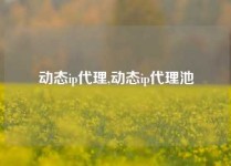 动态ip代理,动态ip代理池