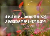 域名注册后，如何配置服务器以确保网站的安全性和稳定性