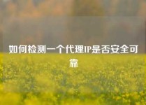 如何检测一个代理IP是否安全可靠
