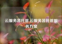 云服务器托管,云服务器托管服务方案