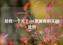 给我一个关于SQL数据库的实际案例