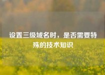 设置三级域名时，是否需要特殊的技术知识