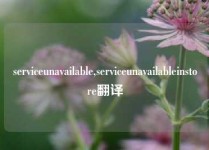 serviceunavailable,serviceunavailableinstore翻译