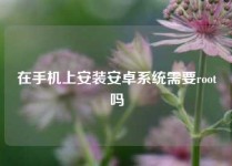 在手机上安装安卓系统需要root吗