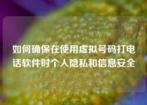 如何确保在使用虚拟号码打电话软件时个人隐私和信息安全