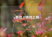 ip查找,IP查找工具