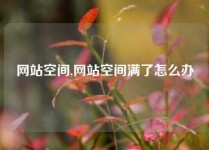 网站空间,网站空间满了怎么办