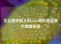 怎么用手机上的safari浏览器设置代理服务器
