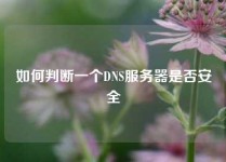 如何判断一个DNS服务器是否安全