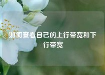 如何查看自己的上行带宽和下行带宽