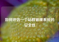 如何评估一个站群管理系统的安全性