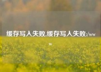 缓存写入失败,缓存写入失败:/www