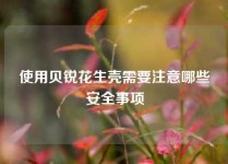 使用贝锐花生壳需要注意哪些安全事项
