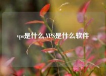 vps是什么,VPS是什么软件