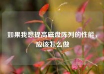 如果我想提高磁盘阵列的性能，应该怎么做