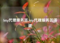 http代理服务器,http代理服务器搭建