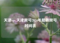 天津vps,天津限号2024年最新限号时间表