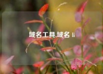 域名工具,域名 li