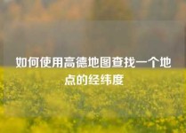 如何使用高德地图查找一个地点的经纬度