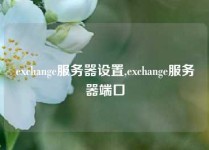 exchange服务器设置,exchange服务器端口