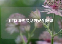 IIS有哪些常见的安全隐患