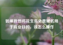 如果我想将花生壳免费域名用于商业目的，该怎么操作