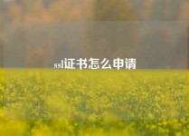 ssl证书怎么申请