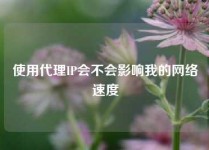 使用代理IP会不会影响我的网络速度
