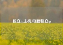 独立ip主机,电脑独立ip