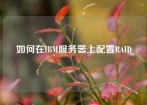 如何在IBM服务器上配置RAID