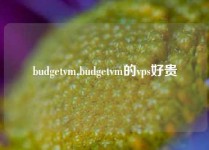 budgetvm,budgetvm的vps好贵