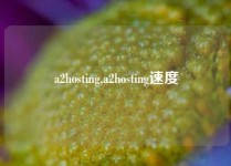a2hosting,a2hosting速度