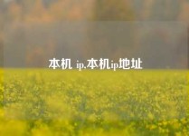 本机 ip,本机ip地址