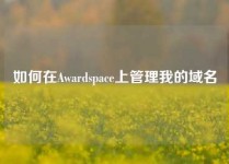 如何在Awardspace上管理我的域名
