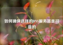 如何确保选择的DNS服务器是可靠的