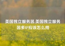美国独立服务器,美国独立服务器多IP应该怎么用