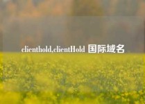 clienthold,clientHold 国际域名